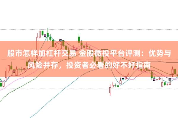股市怎样加杠杆交易 金股微投平台评测：优势与风险并存，投资者必看的好不好指南
