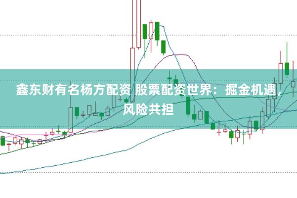 鑫东财有名杨方配资 股票配资世界：掘金机遇，风险共担