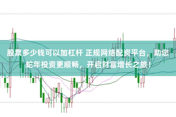 股票多少钱可以加杠杆 正规网络配资平台，助您蛇年投资更顺畅，开启财富增长之旅！