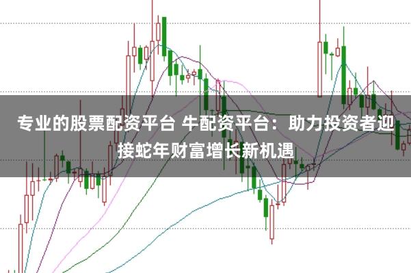 专业的股票配资平台 牛配资平台:助力投资者迎接蛇年财富增长新机遇