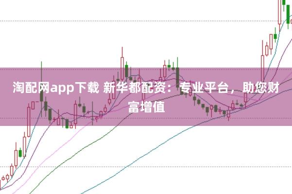 淘配网app下载 新华都配资：专业平台，助您财富增值