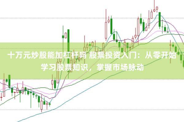十万元炒股能加杠杆吗 股票投资入门：从零开始学习股票知识，掌握市场脉动