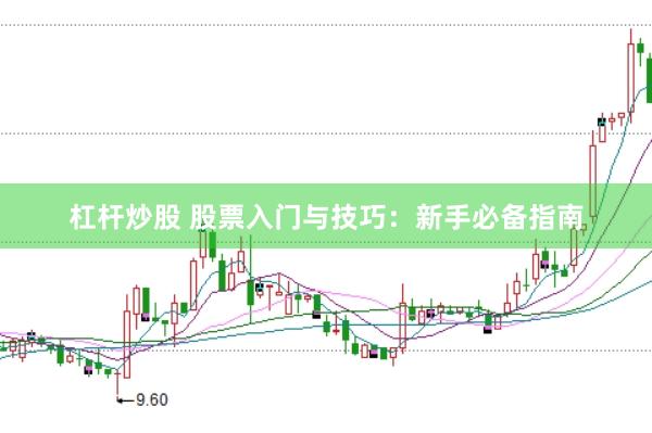 杠杆炒股 股票入门与技巧：新手必备指南