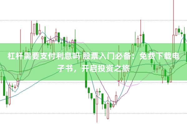 杠杆需要支付利息吗 股票入门必备：免费下载电子书，开启投资之旅