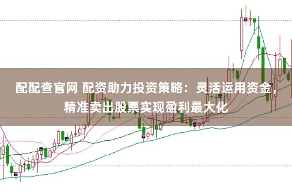 配配查官网 配资助力投资策略：灵活运用资金，精准卖出股票实现盈利最大化