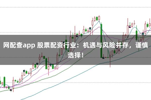 网配查app 股票配资行业:机遇与风险并存,谨慎选择!