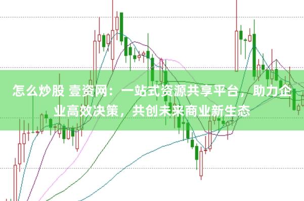 怎么炒股 壹资网：一站式资源共享平台，助力企业高效决策，共创未来商业新生态